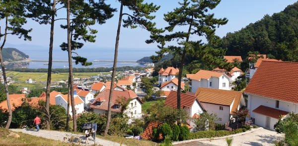 01441500_1700549644.jpg 01441500_1700549644.jpg