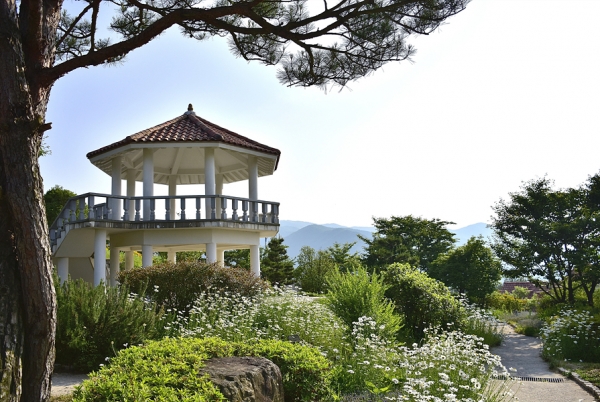 19766300_1700549642.jpg 19766300_1700549642.jpg