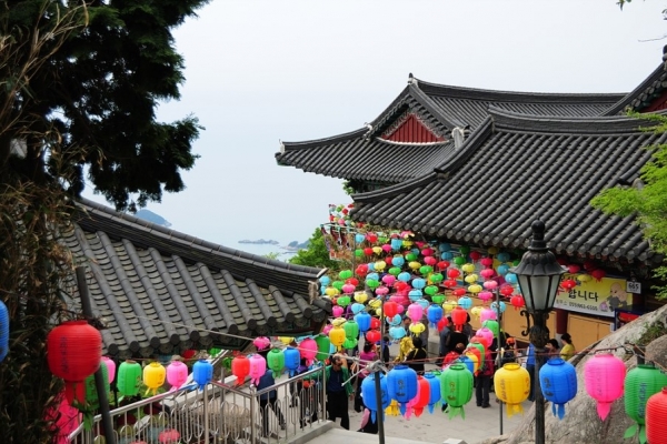 36402500_1700548953.jpg 36402500_1700548953.jpg