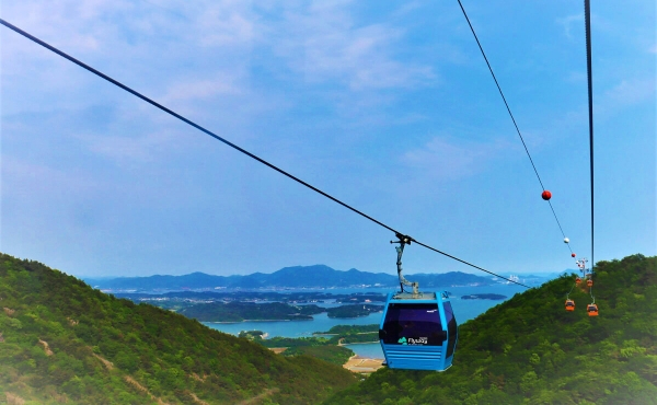 43056400_1737689777.jpg 43056400_1737689777.jpg