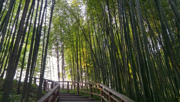 75317400_1701328280.jpg 75317400_1701328280.jpg