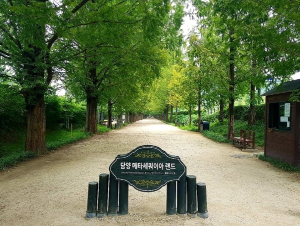 80791000_1701328320.jpg 80791000_1701328320.jpg