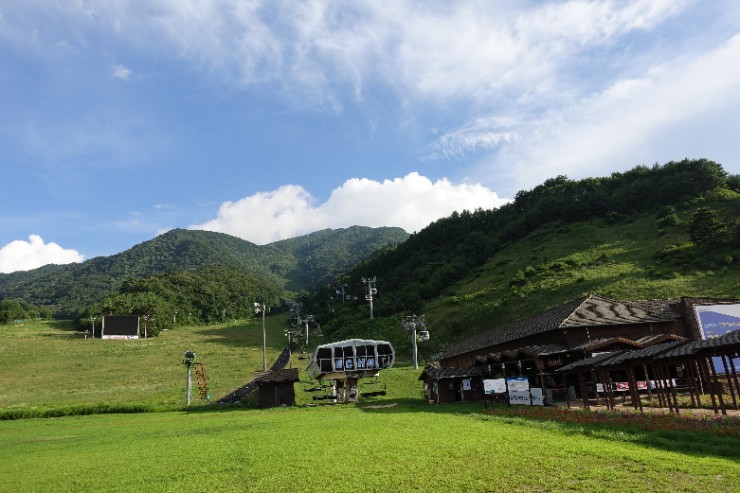 SN1753843778.jpg