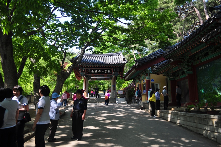 SN1753930660.jpg