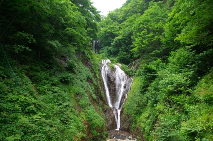 SN1754619914.JPG