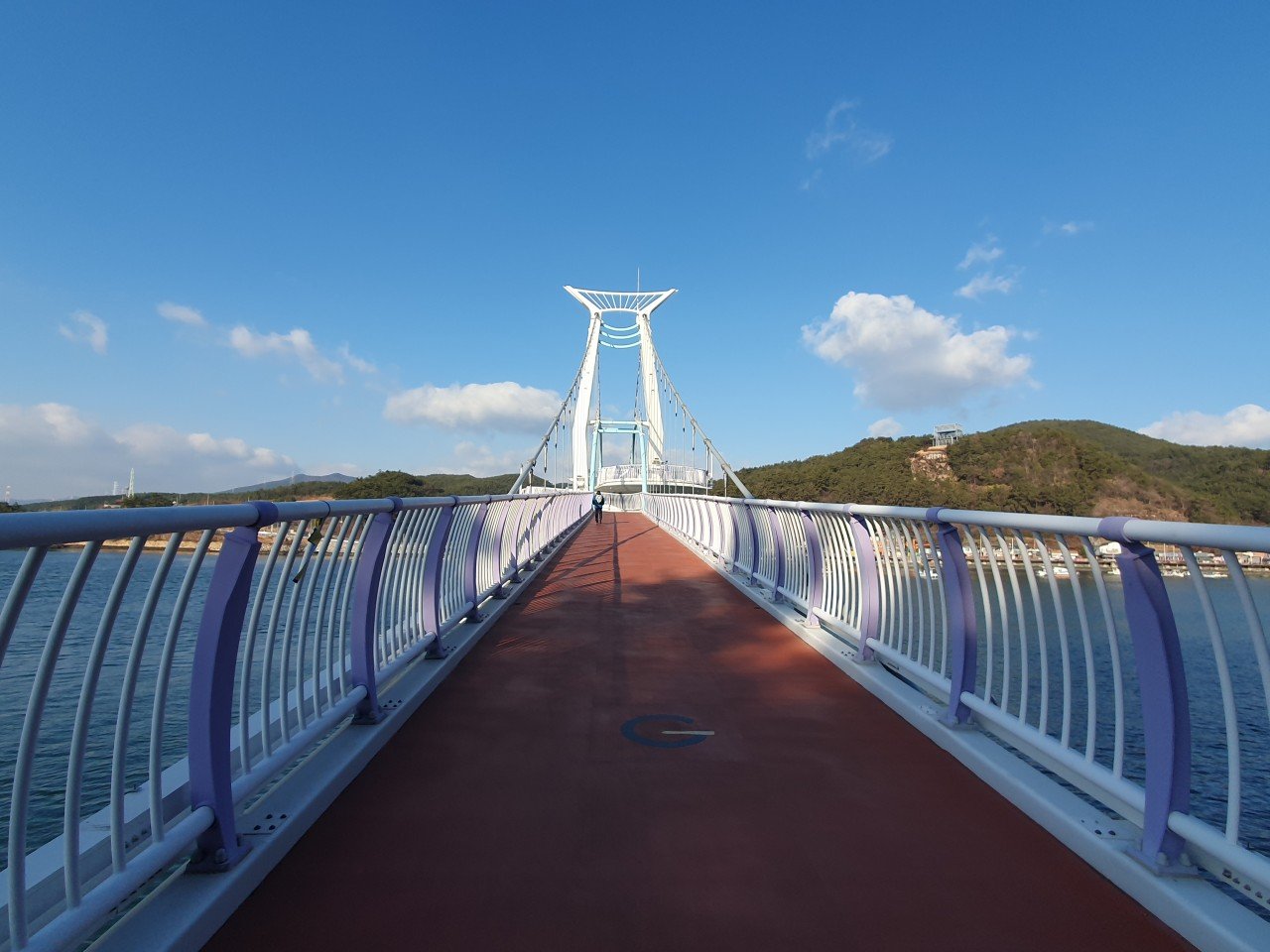 SN1787036621.jpg