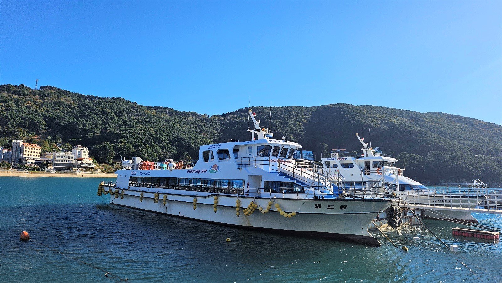 SN1791866067.jpg
